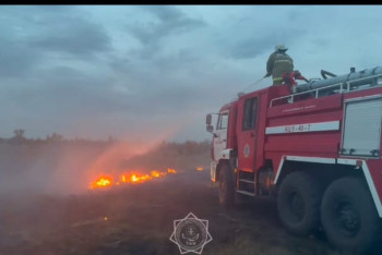 Фотография к новости: ТЖМ құтқарушылары Қостанай облысында дала өртін сөндірді