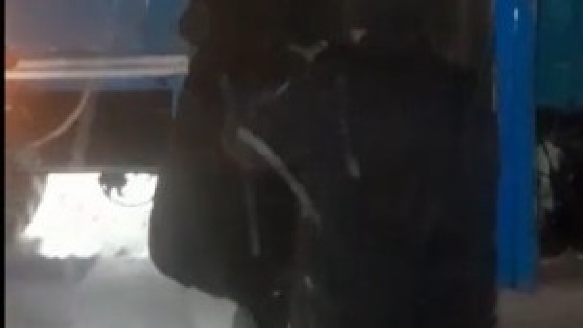  видеодан кадр