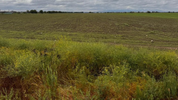 Фотография к новости: Жетісуда шаруаларға 440 несие берілген