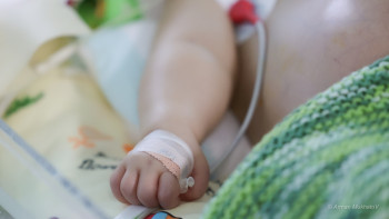 Фотография к новости: Семейде өртеніп жатқан қоқыс жәшігінен табылған шақалақ шетінеп кетті