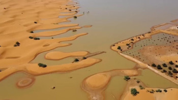 Фотография к новости: Сахараны соңғы елу жылда болмаған су басты