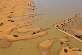 Фотография к новости: Сахараны соңғы елу жылда болмаған су басты