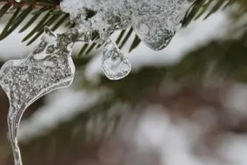 Фотография к новости: Жаңбыр, көктайғақ: Бірнеше өңірде ескерту жарияланды