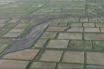 Фотография к новости: Қызылордада суармалы жерлерді пайдалану бойынша мемлекеттік бақылау күшейтілді