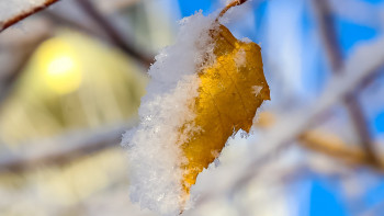Фотография к новости: Бірнеше өңірде ауа райына байланысты ескерту жарияланды