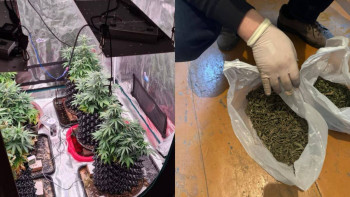 Фотография к новости: ШҚО-да полицейлер есірткі сататын интернет-дүкенді жойды