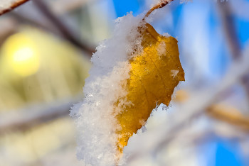 Фотография к новости: 1-6 градус: Бірқатар өңірде үсік жүреді