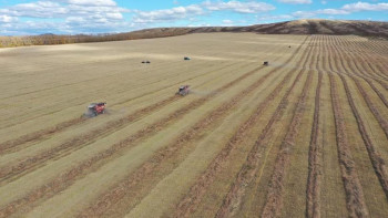 Фотография к новости: ШҚО-да ауыл шаруашылығы тәжірибе стансиясы егін жинауды аяқтады