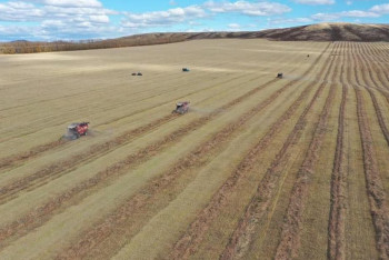 Фотография к новости: ШҚО-да ауыл шаруашылығы тәжірибе стансиясы егін жинауды аяқтады