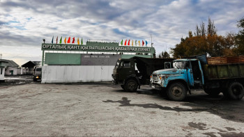 Фотография к новости: Жетісуда қант қызылшасын сақтау қиынға соғуда