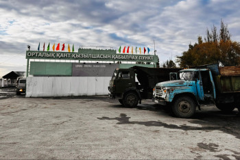 Фотография к новости: Жетісуда қант қызылшасын сақтау қиынға соғуда