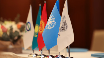 Фотография к новости: Қазақстан мен Қырғызстан қар барысын бірлесіп сақтайды