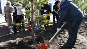 Фотография к новости: Астанада тағы бір аллея ашылды