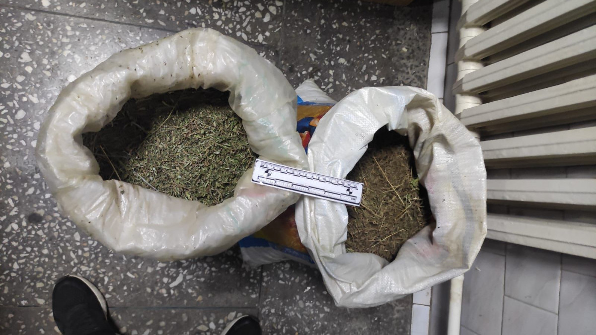  Жамбыл облысы ПД