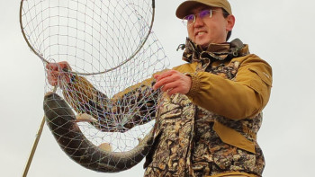 Фотография к новости: Ақ амурлар Баянауыл көлдеріне бейімделе ме