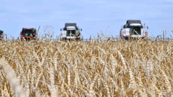 Фотография к новости: Қытай Қазақстаннан тасымалданатын астық экспортын қайта жандандыруға дайын