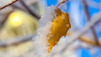 Фотография к новости: Үсік, жел: Бірнеше өңірде дауылды ескерту жарияланды