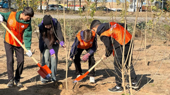 Фотография к новости: «Жарқын күз»: алматылықтар қаланы көгалдандыруға қалай атсалысып жатыр