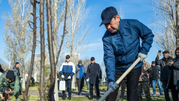 Фотография к новости: Мәжіліс депутаттары Астанада ағаш отырғызды