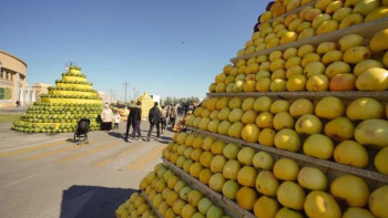 Фотография к новости: Түркістан облысында 3,5 млн тонна бақша өнімдері жиналды