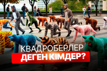 Фотография к новости: «Ашық деградация». Психологтар квадроберлер туралы не дейді