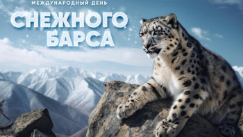 Фотография к новости: 23 қазан – Халықаралық қар барысының күні