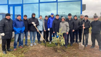 Фотография к новости: Экологиялық бастама: астаналық қариялар ағаш отырғызды