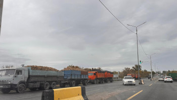 Фотография к новости: Көксу қант зауытының алды қайта кептеліске толы