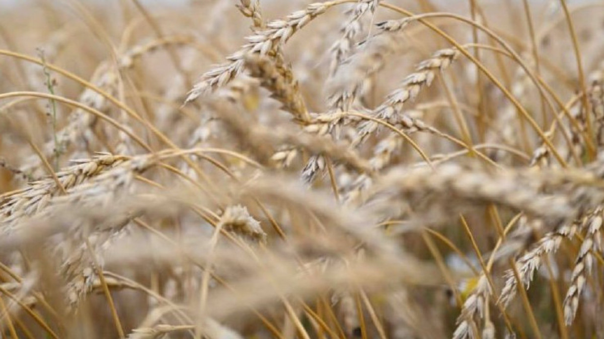  Ауыл шаруашылығы министрлігі