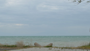 Фотография к новости: Арал теңізін қалпына келтіру қалай жүріп жатыр