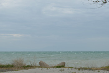 Фотография к новости: Арал теңізін қалпына келтіру қалай жүріп жатыр