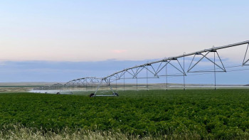 Фотография к новости: Қарағандыда 1100 га ауыл шаруашылығы дақылдарын суару жобасы жүзеге асырылды