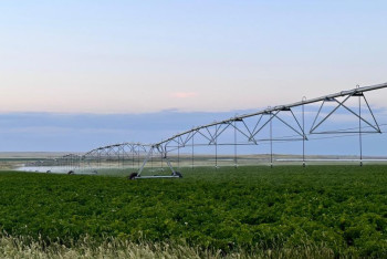 Фотография к новости: Қарағандыда 1100 га ауыл шаруашылығы дақылдарын суару жобасы жүзеге асырылды