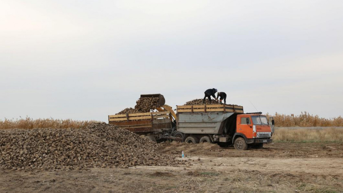  Жамбыл облысының әкімдігі
