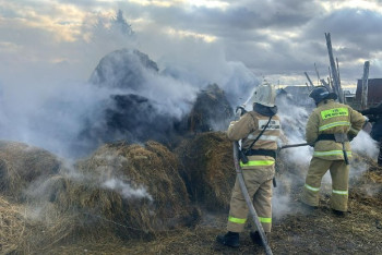 Фотография к новости: Ақмола облысында 7,5 тонна шөп өртенді