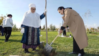 Фотография к новости: Түркістанда 100 түп ағаш отырғызылды