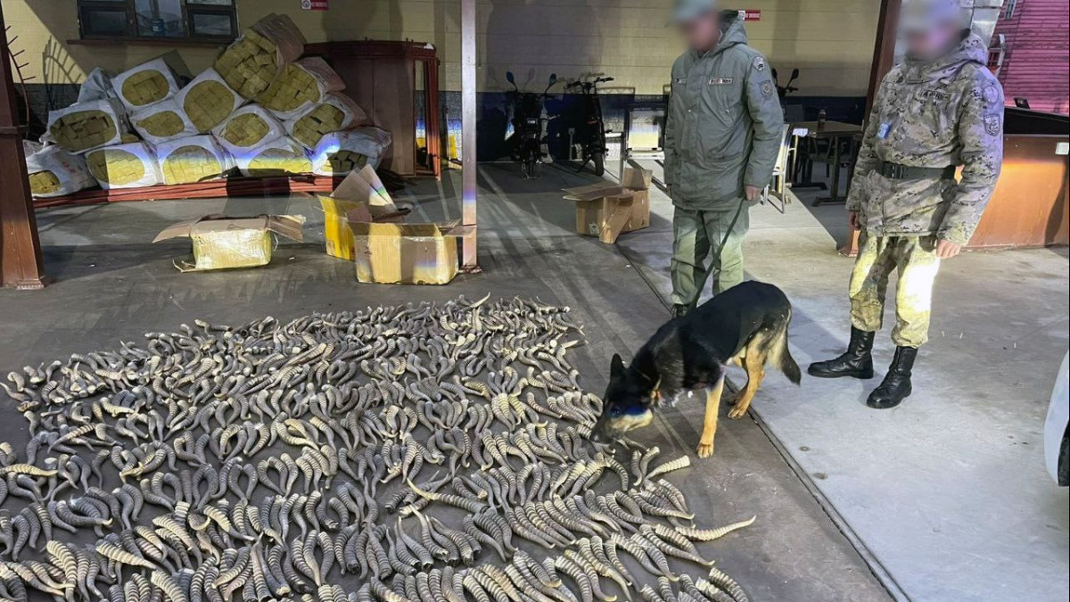  ҰҚК баспасөз қызметі