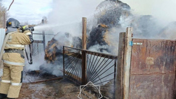 Фотография к новости: Батыс Қазақстанда 6,5 тонна шөп өртеніп кетті