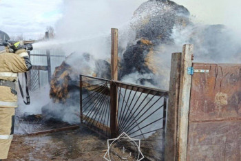 Фотография к новости: Батыс Қазақстанда 6,5 тонна шөп өртеніп кетті