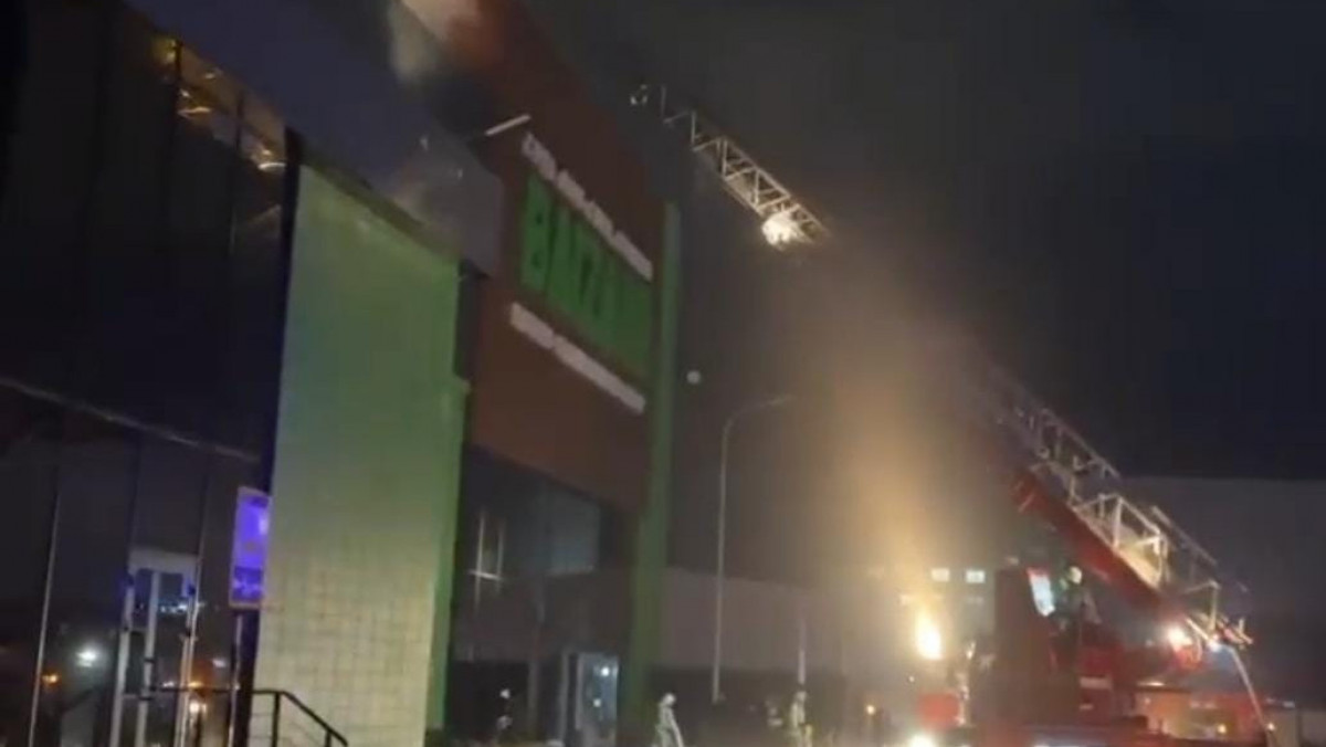  видеодан кадр