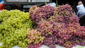 Фотография к новости: Астанада 3 облыстың тауар өндірушілері  жәрмеңке өткізіп жатыр