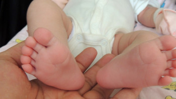 Фотография к новости: Түркістан облысында үшем дүниеге келді