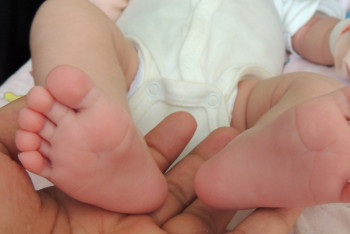 Фотография к новости: Түркістан облысында үшем дүниеге келді