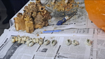 Фотография к новости: Колонияға сүйек майына жасырылған есірткі заттарын өткізбекші болған