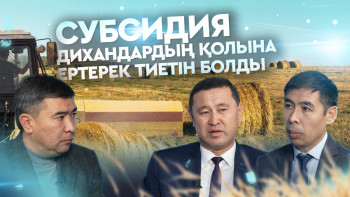 Фотография к новости: 2025 жылдан бастап дихандарға берілетін субсидия тәртібі өзгереді