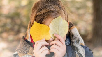 Фотография к новости: Оқу-ағарту министрлігі демалысты ұйымдастыру бойынша ұсыныстар әзірледі