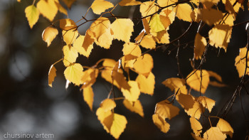 Фотография к новости: Алдағы үш күнде күн райы қандай болады