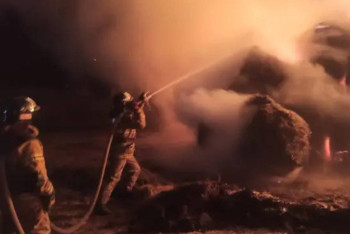 Фотография к новости: Жетісу облысында жанып жатқан шөп сөндірілді