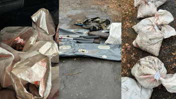 Фотография к новости: Павлодарда табиғат қорғау заңнамасын бұзудың 70-ке жуық дерегі тіркелді