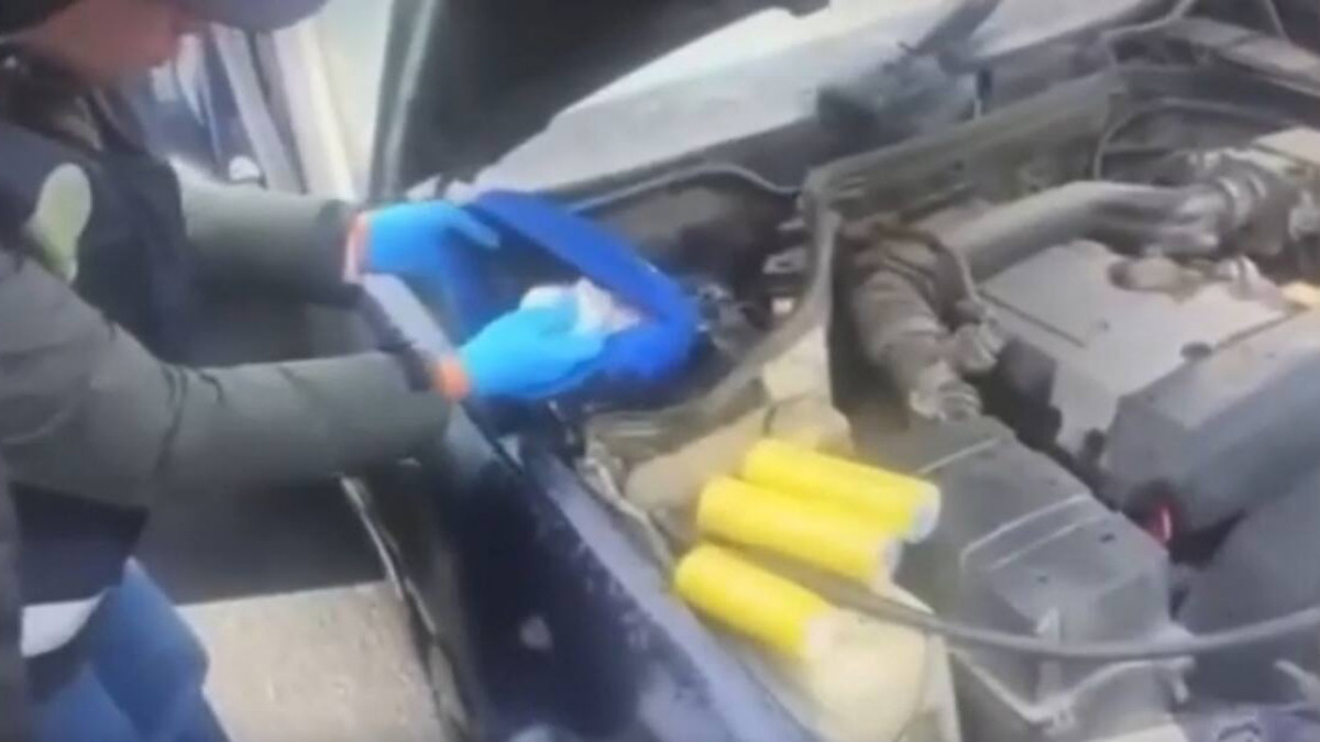  Видеодан скрин